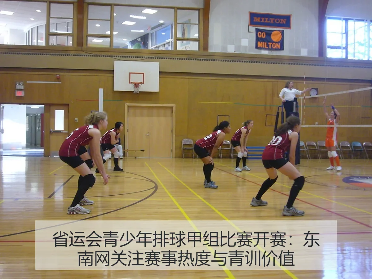 省运会青少年排球甲组比赛开赛:东南网关注赛事热度与青训价值